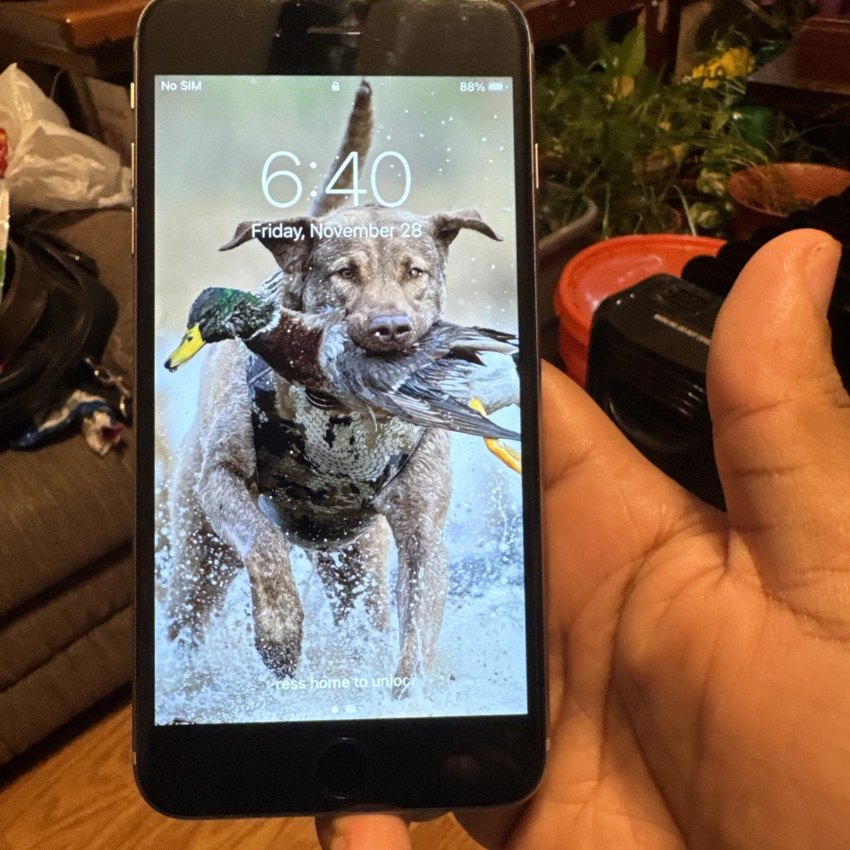 iPhone6s Plus 128GB NKUD2J/A（美品） Apple iPhone 6S Plus (Latest Model) - 128GB - Rose Gold (Factory