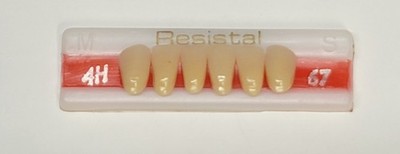 4H - Color 67 Lower Anteriors Dental Acrylic Resin Cross - Linked Teeth