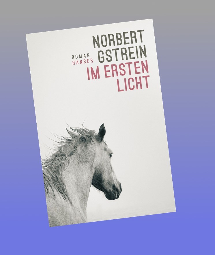 Carl Hanser Verlag Licht Im Ersten - Bild 4