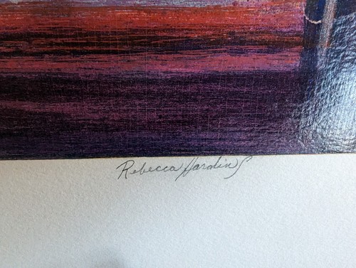 Rebecca Hardin Saltraker Limited Edition Serigraph 158/200 Pool Lagoon Waterfall - Picture 2 of 8