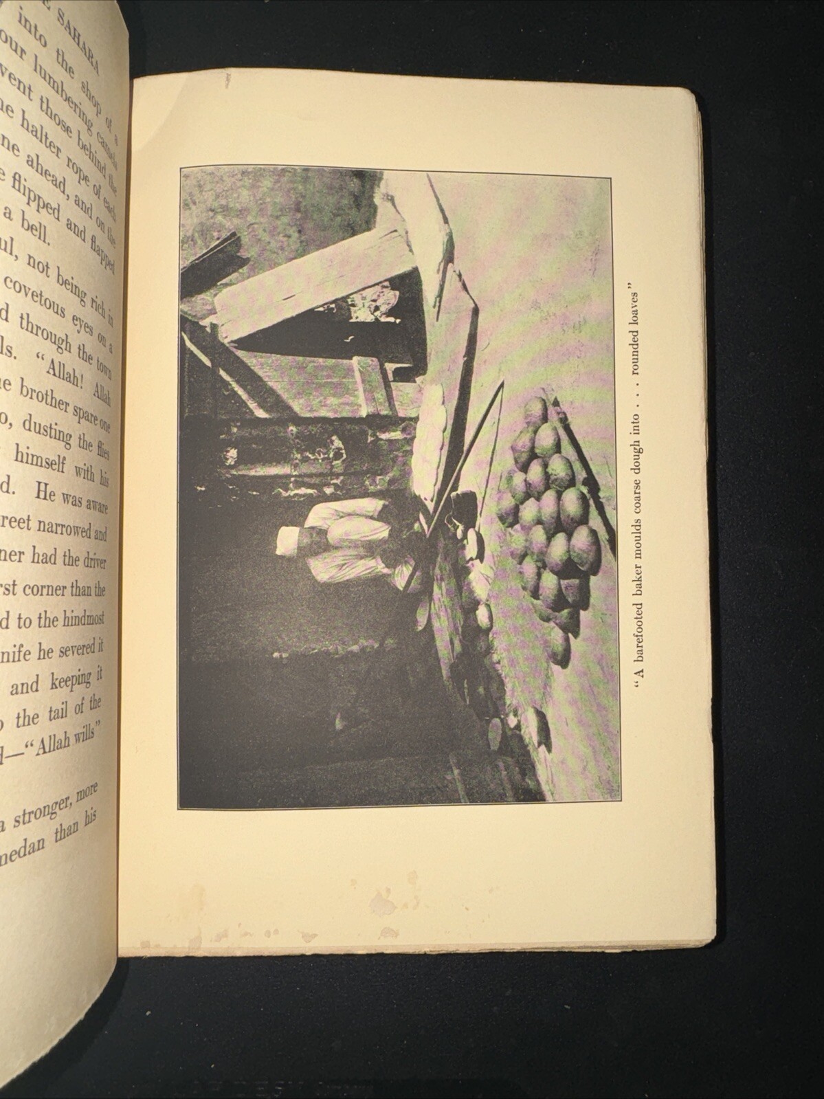Picture 19 of 24