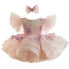 Princess Baby Girls First Birthday Dress Girls Embroidered Flower Tulle Pagea...