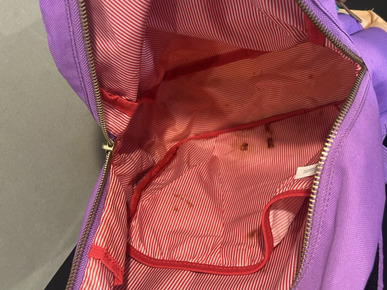 Herschel Multicolor Backpack - image 8