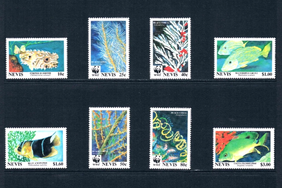 Valor Scott de $7,25 - Pez coral NEVIS 1994, más escaso como conjunto de 8 WWF CV MNH NH UMM Foto 3 de 4