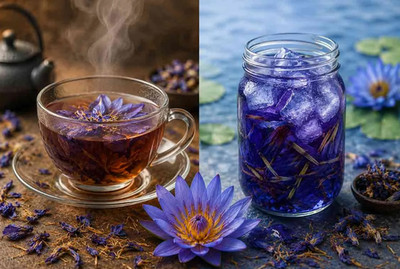 Dried Blue Lotus Cut Flower Pure Nymphaea Caerulea Organic Natural Tea/Smoke 30g