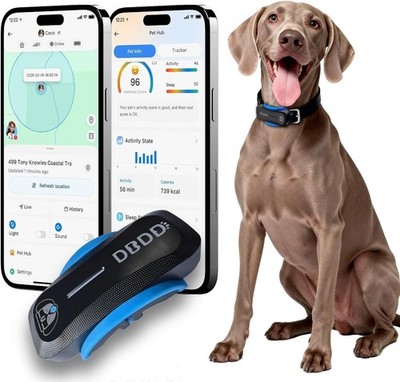 Smart AI GPS Tracker für Hunde Smart Echtzeit Standort KI Tierarzt Gesundheitsmanagement
