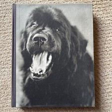  on The Hot Collector