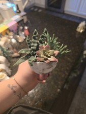 BATH AND BODY WORKS WALLFLOWER PLUGS (USED) -...