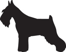 Schnauzer Silhouette Vinyl Decal - Custom Dog Sticker - 9070