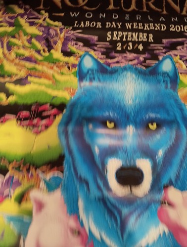 2016 NOCTURNAL WONDERLAND - 24"x18" Original Promo Poster 2016 