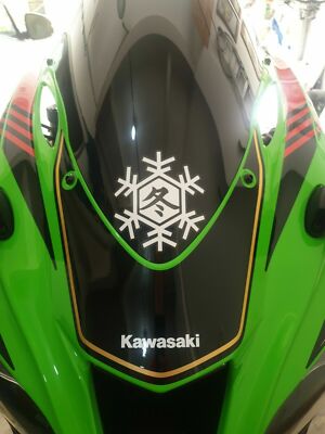 NEW!! SNOWFLAKE WINTER TEST DECALS / STICKERS FOR ZX-10RR ZX10R X2