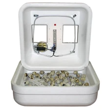 NEW GQF  1602N - Thermal Air Hova-Bator Incubator Best Hatching Chicken Eggs USA