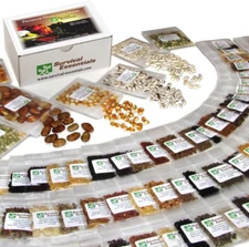 Heirloom Seeds for Planting Vegetables and Fruits 135 Variety Seed Vault