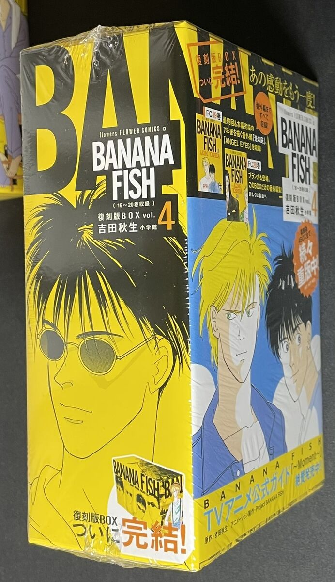 Banana Fish Manga Volume 10