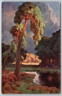 Fridolin Artist Pastoral Landscape Tall Pine Deer Stream Scenic Postcard