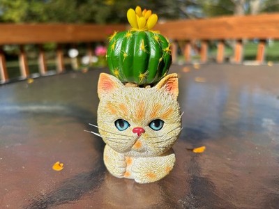 Bradford Exchange Big Boi Cat Purr-fect Succulent Planter Kayomi Harai