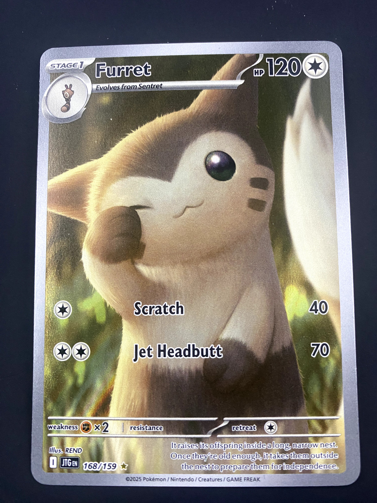 Pokemon TCG Furret 168/159Journey Together Illustration Rare Holo Full Art NM