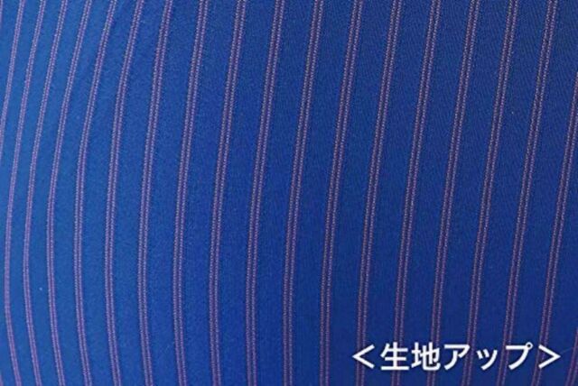 Mizuno Swimsuit GX Sonic IV for Men - N2MB9002, Blue, Size M EMS 