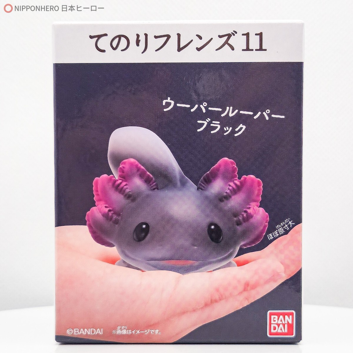 Tenori Friends AXOLOTL BLACK COLOR Figure Animal Collection Bandai