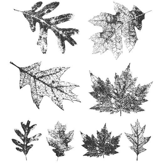 Tim Holtz Cling Rubber Stamps - Falling Leaves CMS097