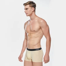 ZONBAILON Men's Underwear Ice Silk Thin Sexy Stretch Breathable slippery Boxer