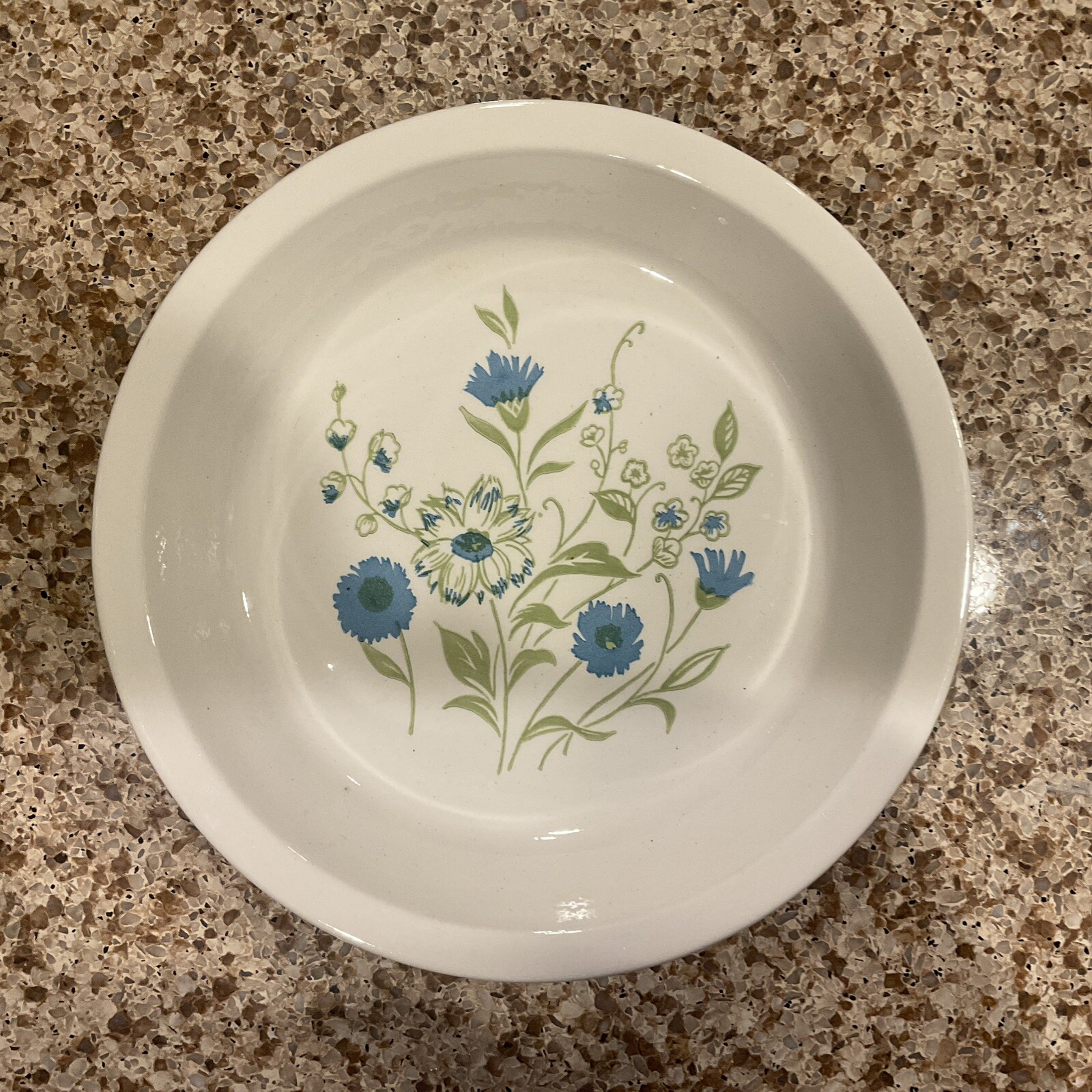 Royal China Pie Plate Usa Ironstone Blue & Green Floral 10” Pie Plate Vtg