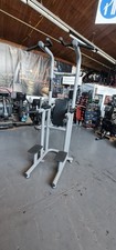 Technogym Chin Up/Dip Leg Raise  Commercial Gym Equipmnt