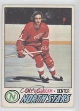 1977-78 O-Pee-Chee Bill Hogaboam #148 0a1