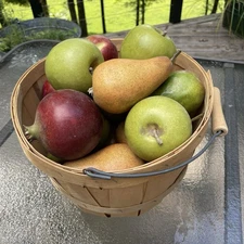 Faux Fruit 23 Piece Assorted Realistic Apples, Lemons, Pears Basket Included