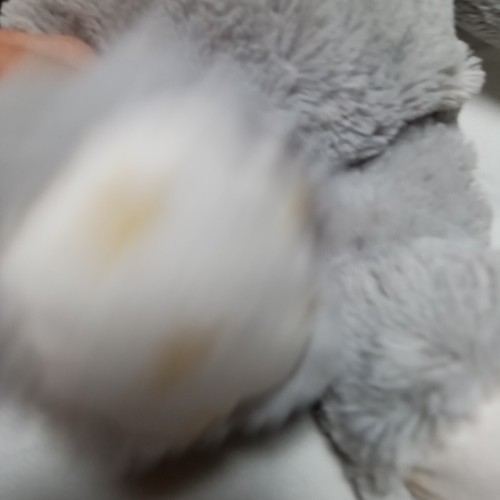 Cloud B Bunny Hugginz Lovey 14” Rabbit Plush Dreamy Star Grey Gray Stuffed Toy - Picture 4 of 8