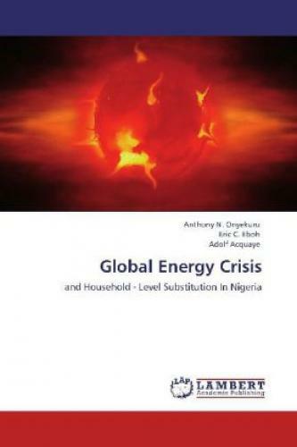 Thumbnail - Global Energy Crisis And Household - Level Substitution In Nigeria