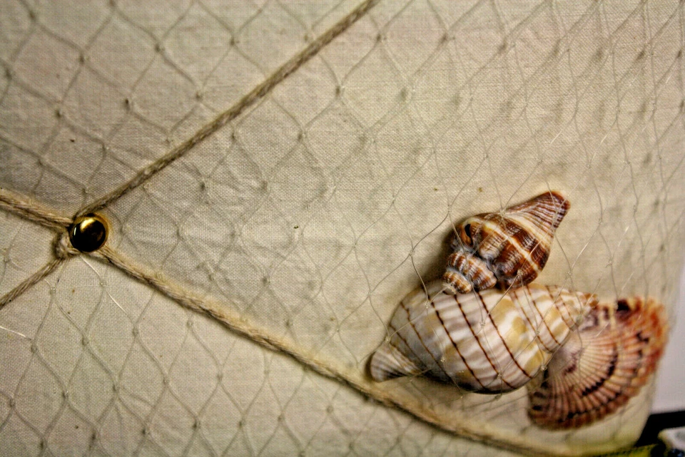 NEW Memo Pin Notice Board, message boad Nautical beach theme Shell Holder - Image 4 of 4