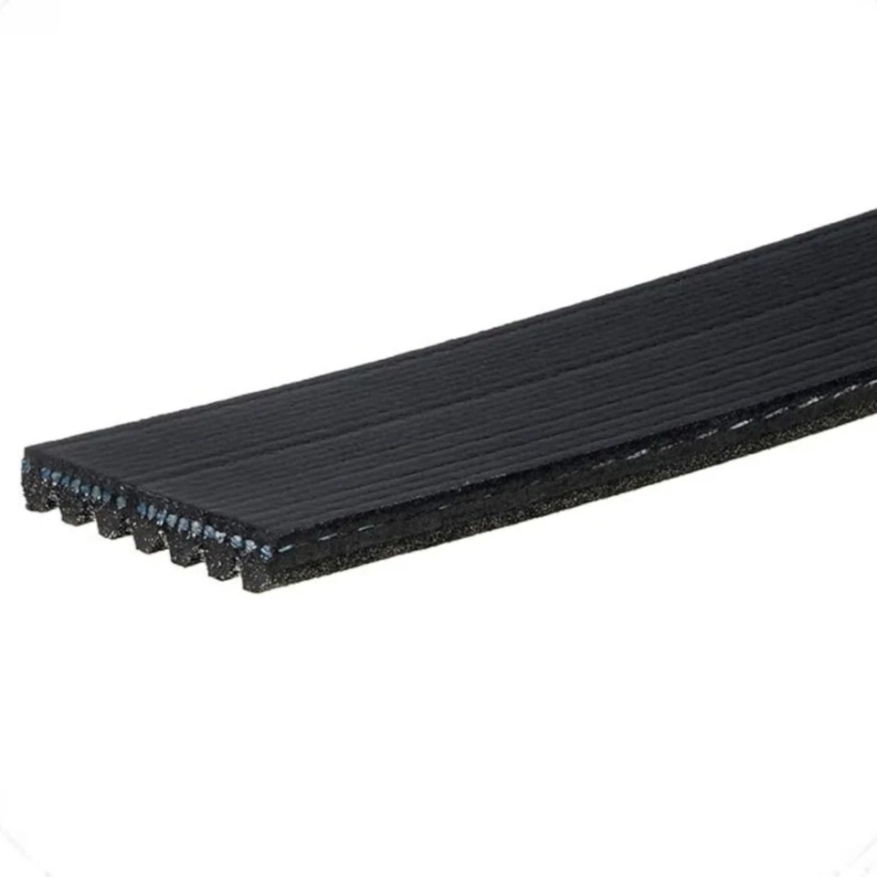 Cinto Serpentine ACDelco Genuíno Para Nissan Pathfinder 2008-2012 | Padrão 7 Rib - Imagem 3 de 4