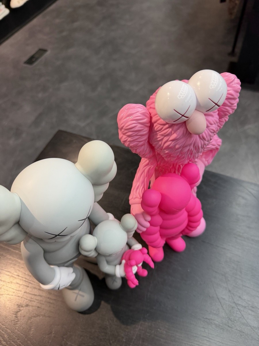 Kaws Family Figure Vinyl Set Grey Pink *FLAWLESS* | eBay