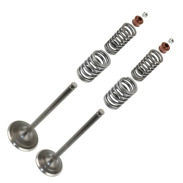 Cylinder Head Intake Exhaust Valve Kit Fits Honda TRX500FE Foreman 500