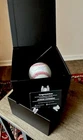 Junior Caminero Autographed Signed Baseball Fanatics COA Auto UW RARE CIB ROOKIE