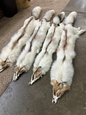 GIANT FIRE & ICE RANCH FOX