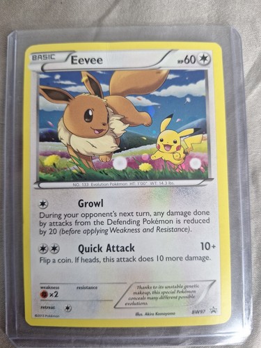 Eevee BW97 Black White Promos Holo Black Star Pokemon Card LP VG Condition 