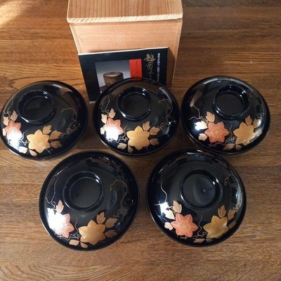 Echizen Lacquerware Black Iron Sensai Bowl Set 5 Pcs with Lid Near Mint