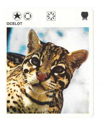 Blatt - Le Livre de Paris - 1975 - Ocelot