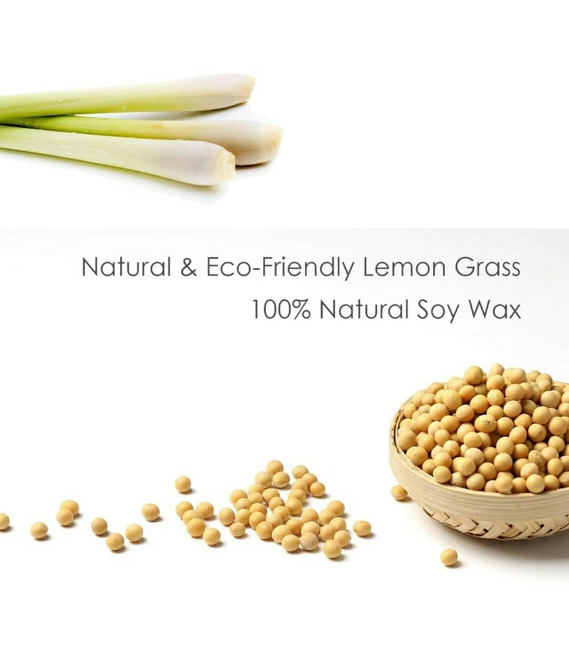 Citronella 100% Soy-Wax Decorative Candle W 3 Wicks 14.5 OZ Pack of 3 - Image 4 of 4