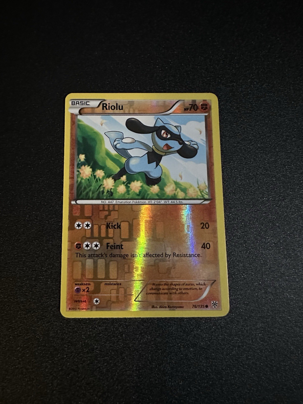 Pokémon TCG Riolu 76/135 Plasma Storm Reverse Holo NM/LP