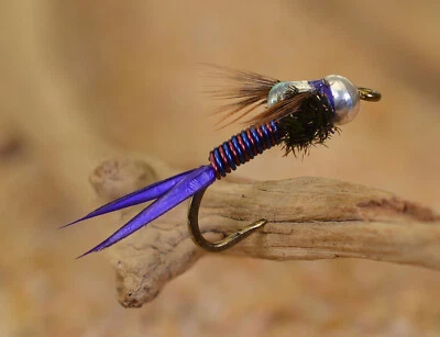 12 Flies Blue/Purple Bead Head Copper John Nymph - Mustad Signature Hooks
