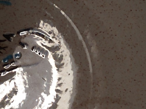 2 ~ RED WING " Bob White Quail"  Dinner Plates - Good Condition  - Picture 7 of 24