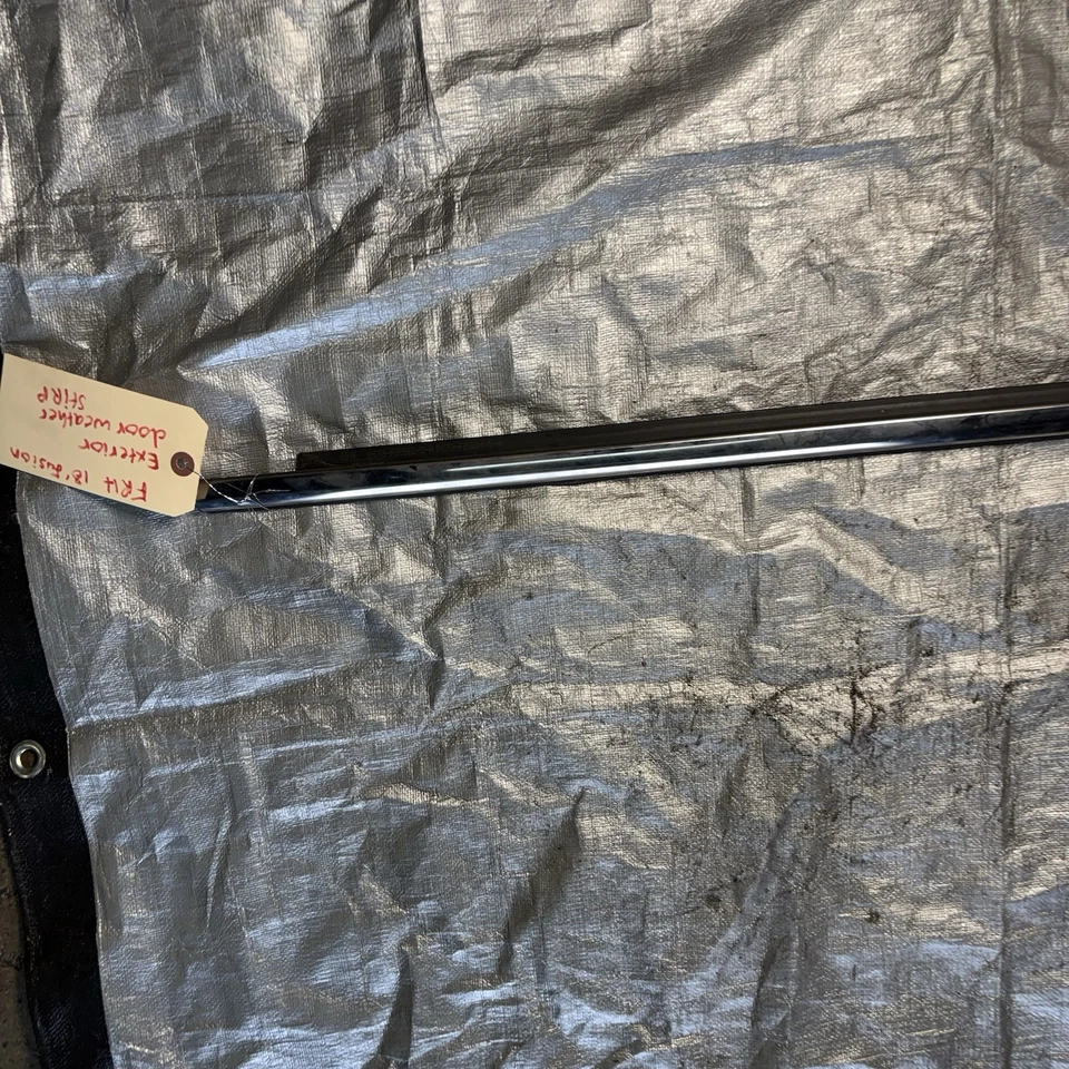 Ford Fusion 2013-2020 puerta delantera derecha ventana cinturón moldura sello OEM Foto 3 de 4