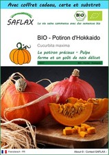SAFLAX Kit cadeau - BIO - Potiron d'Hokkaido - 5 graines - Cucurbita