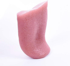 2 Pcs Horrible Stretchable Tongue Realistic Magic Tongue Fake Tongue Specially F