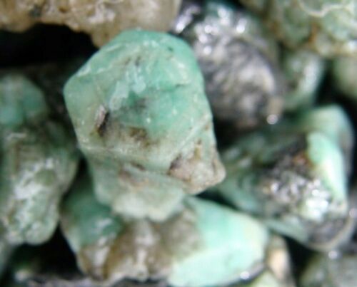 LOTTO GEMME GREZZE SMERALDO 500 CARATI COLOMBIANE ORIGINALE BERILLO NATURALE GREZZO ROCCIA NON TAGLIATA - Foto 4 di 9