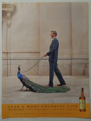 2001 MACALLAN Single Malt Whisky Magazine Ad - Man Walking Peacock
