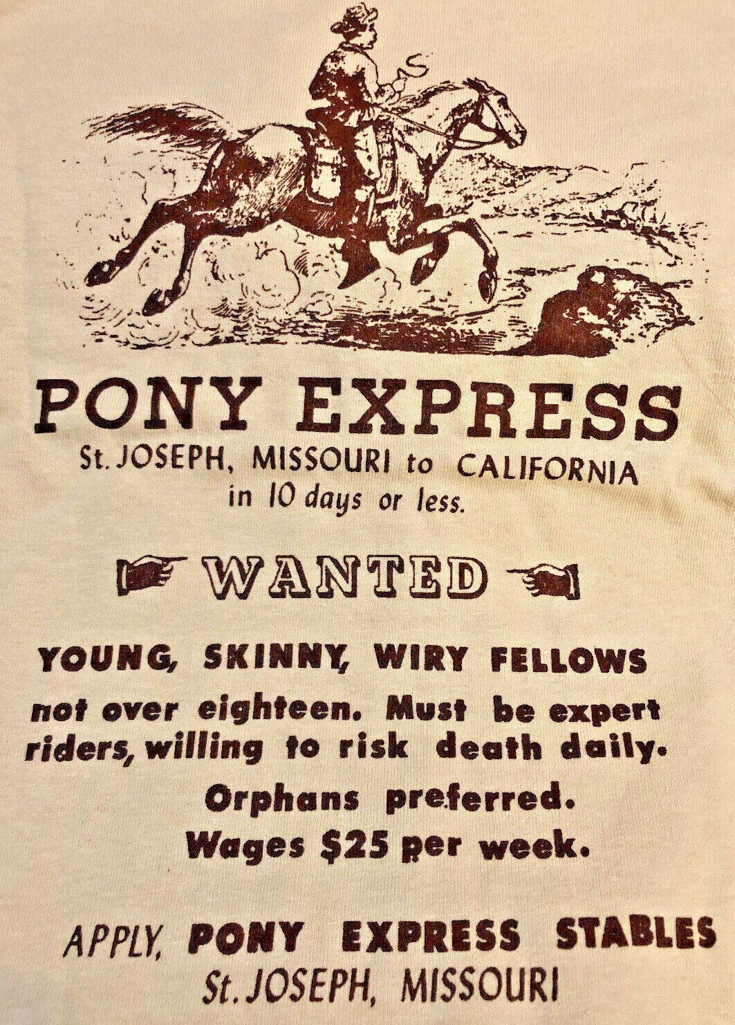 T shirt Pony Express taglia S 2XL nuova con etichette cavallo beige cartolina cotone